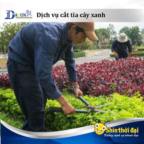 Sản phẩm ChÄƒm sÃ³c cay cáº£nh KhuÃ´n viÃªn nhÃ  mÃ¡y CÃ´ng ty Suntory Pepsico — Vệ Sinh Công Nghiệp - Công Ty Dịch Vụ Oshin Thời Đại — MST 1800569654